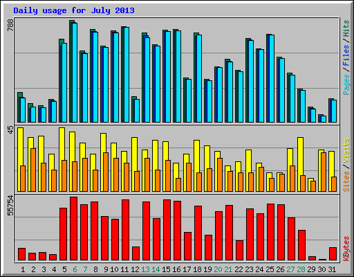 Daily usage for July 2013