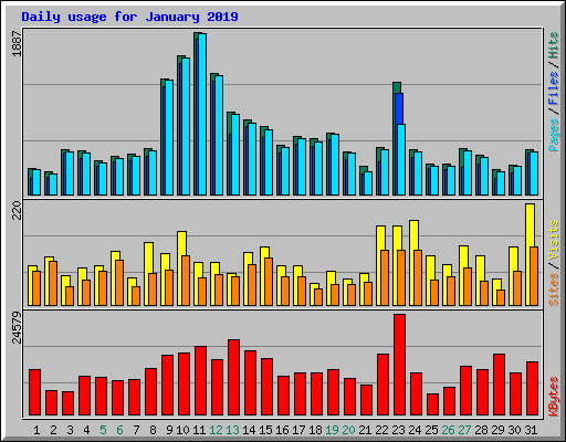 Daily usage for January 2019