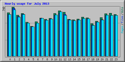 Hourly usage for July 2013