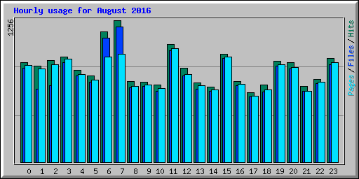 Hourly usage for August 2016