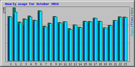 Hourly usage for October 2016