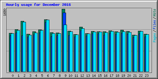 Hourly usage for December 2016