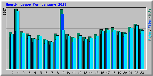 Hourly usage for January 2019