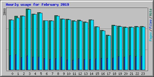 Hourly usage for February 2019