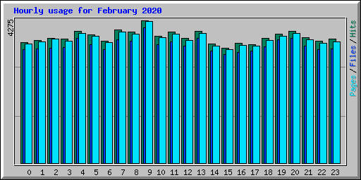 Hourly usage for February 2020