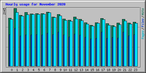 Hourly usage for November 2020